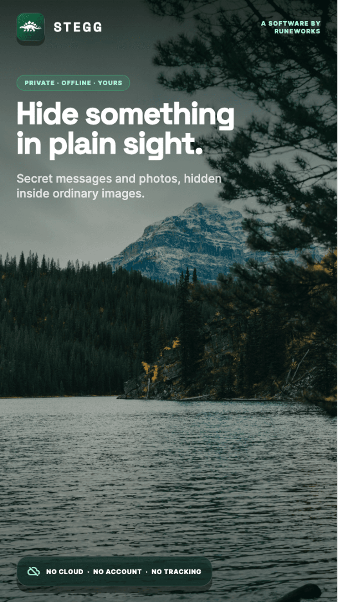 Hide a secret message inside a photo with Stegg