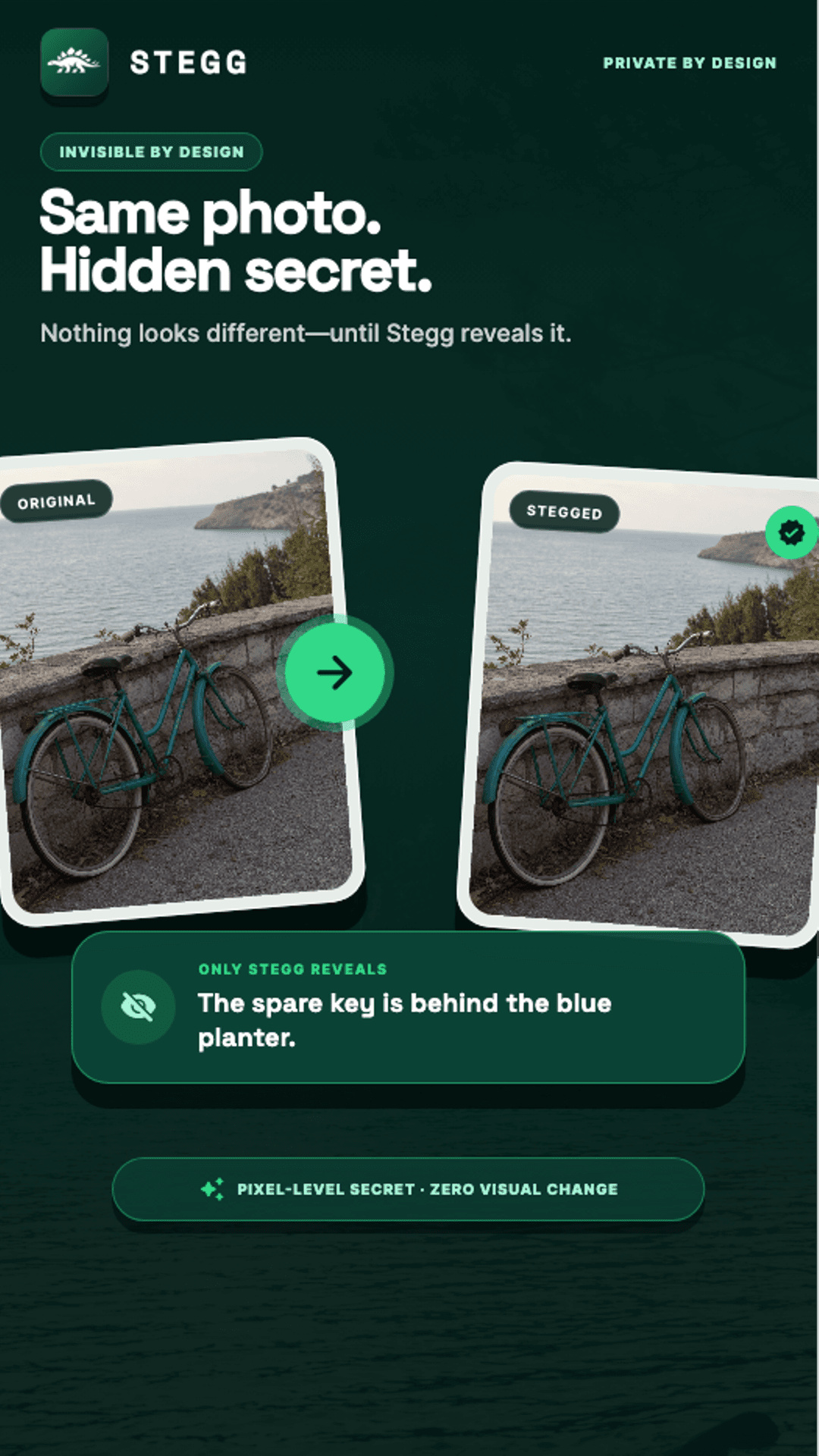 The original and Stegg image look the same