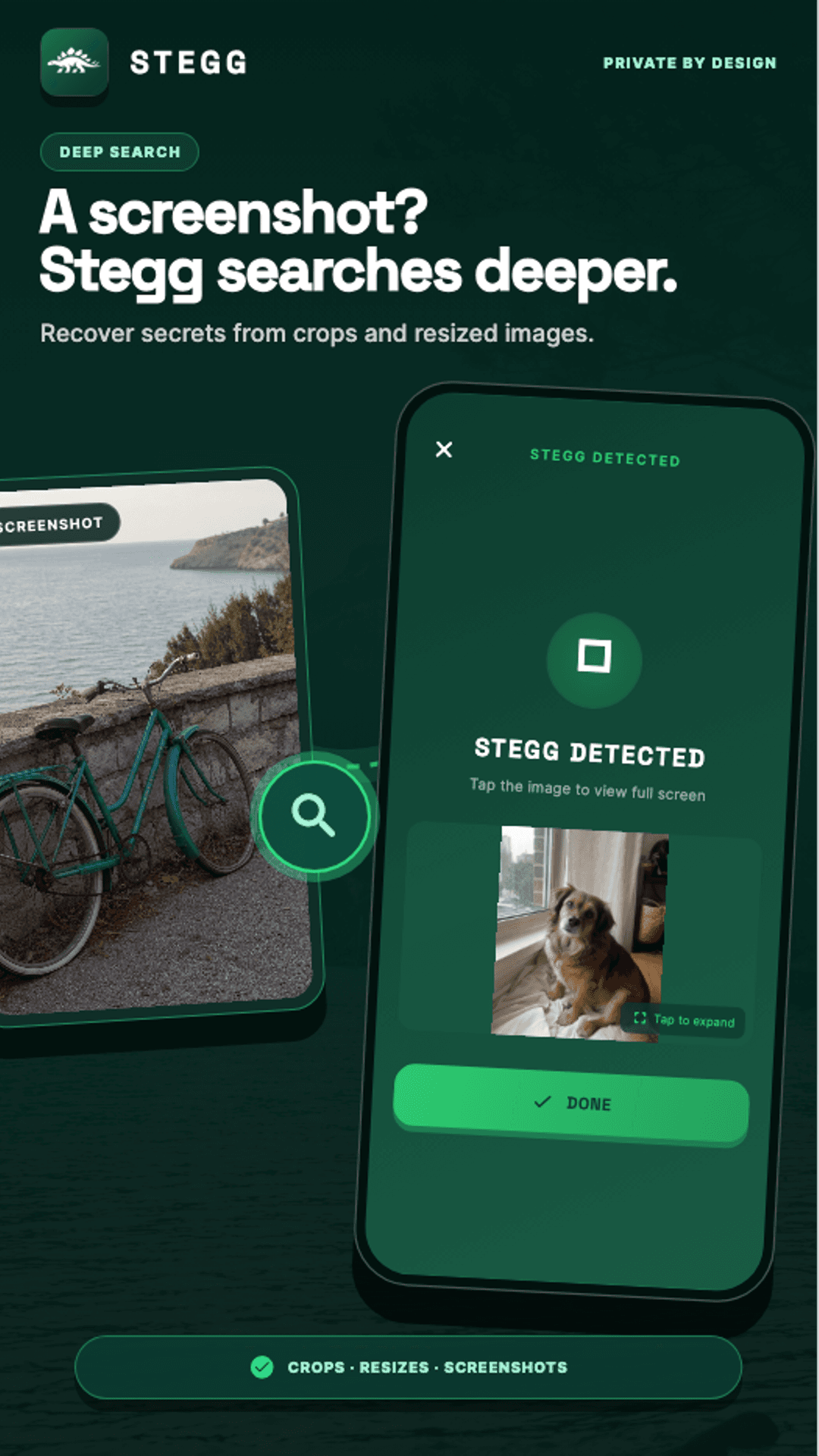 Deep Search recovering a hidden image from a screenshot