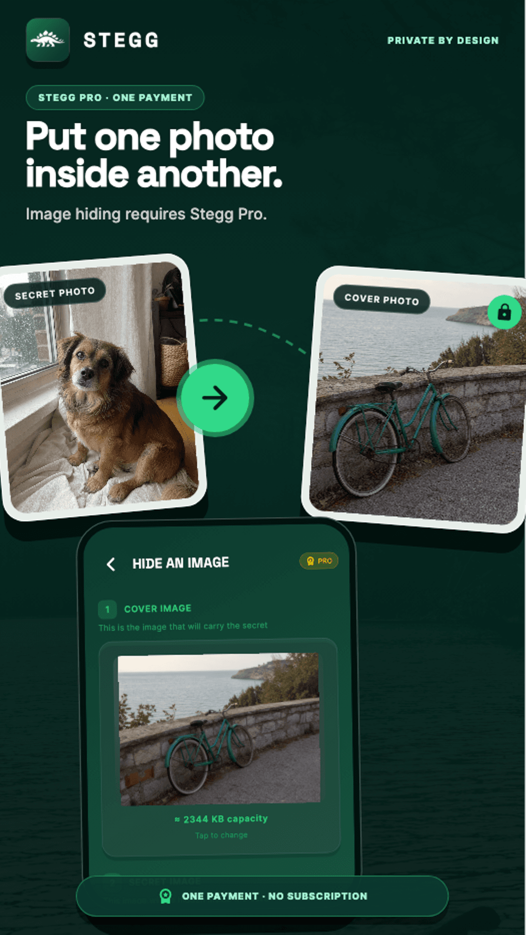 Stegg Pro image-in-image hiding